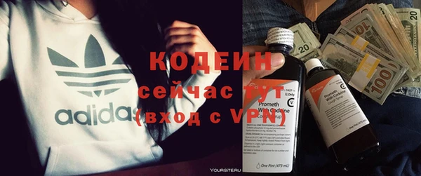 прущие грибы Абаза