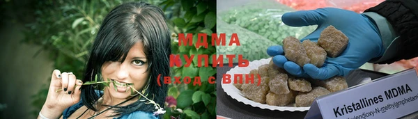 прущие грибы Абаза