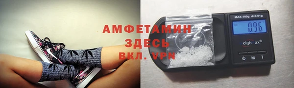 прущие грибы Абаза