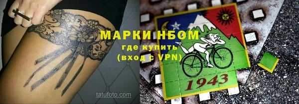 прущие грибы Абаза