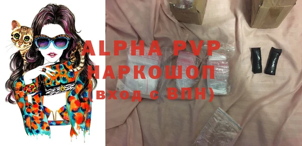 прущие грибы Абаза