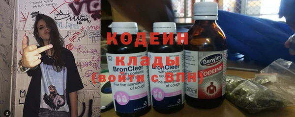 прущие грибы Абаза