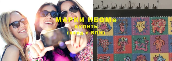 стаф Россошь