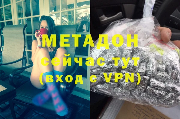 прущие грибы Абаза