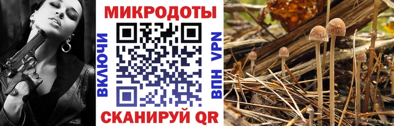 наркота  Аткарск  Псилоцибиновые грибы мицелий 